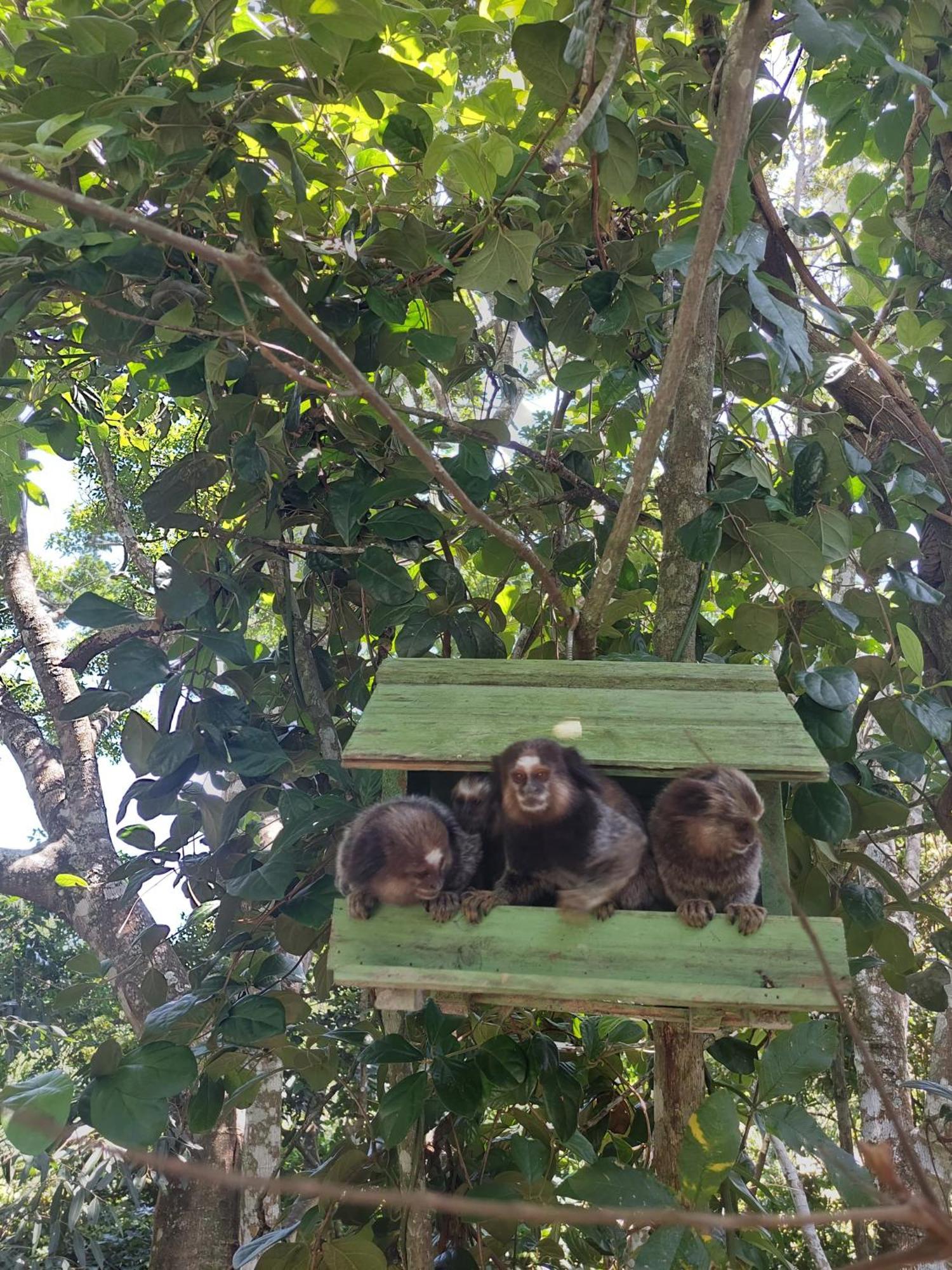 Casa Com Piscina Villa Florianópolis Dış mekan fotoğraf