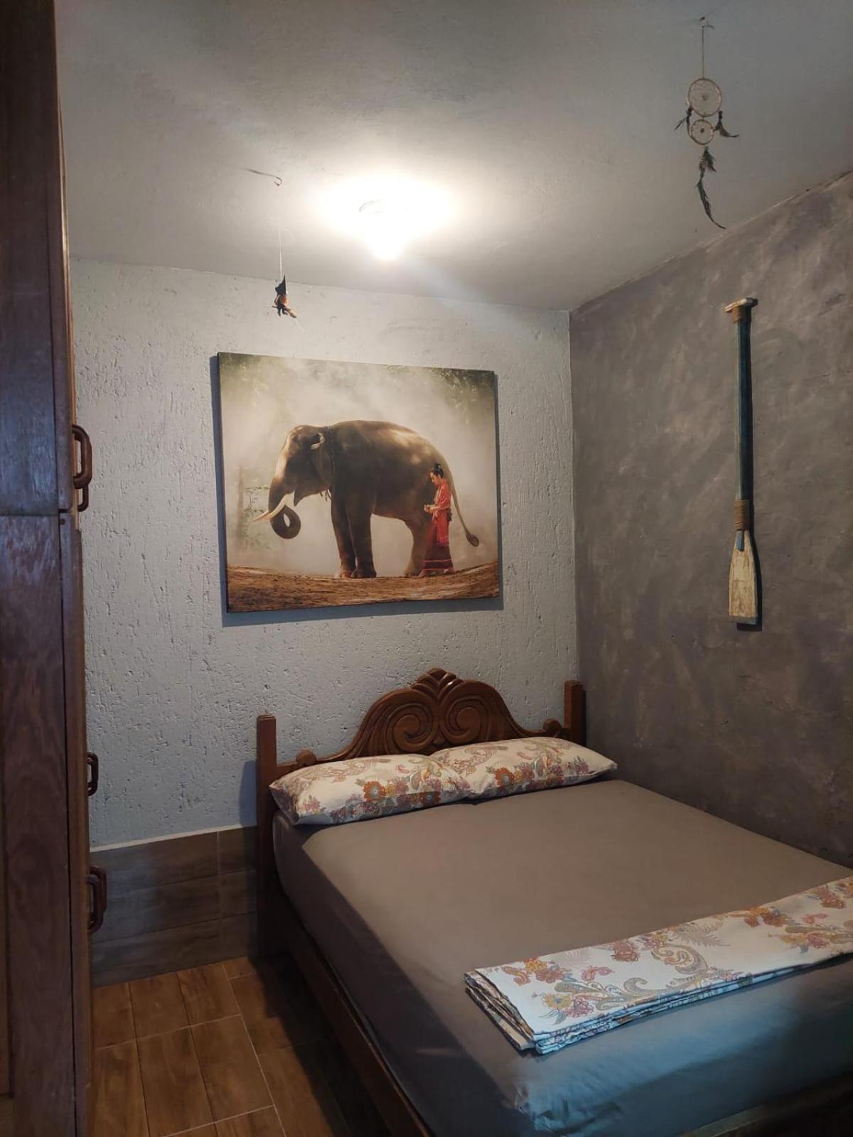 Casa Com Piscina Villa Florianópolis Dış mekan fotoğraf
